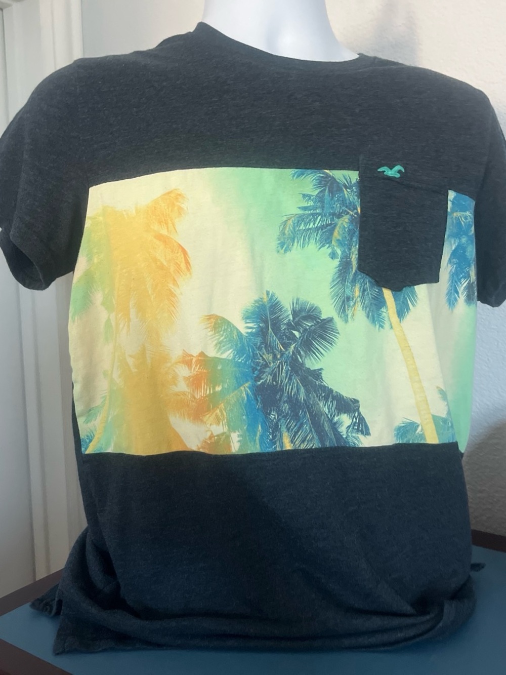 Hollister Charcoal Tee with Yellow-Green-Blue Palm Panel